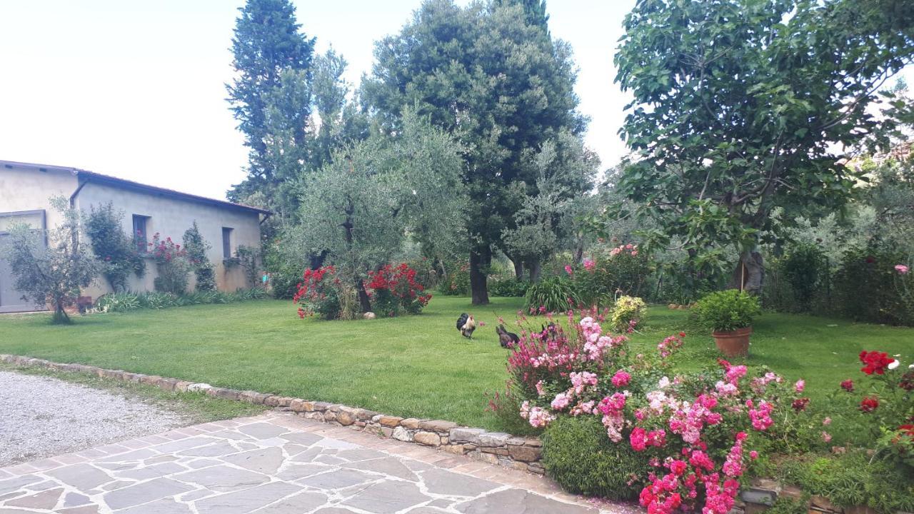B&B L'Oliveto Lucignano Exterior foto